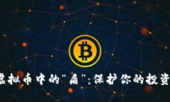 全面解读虚拟币中的“盾”：保护你的投资，防