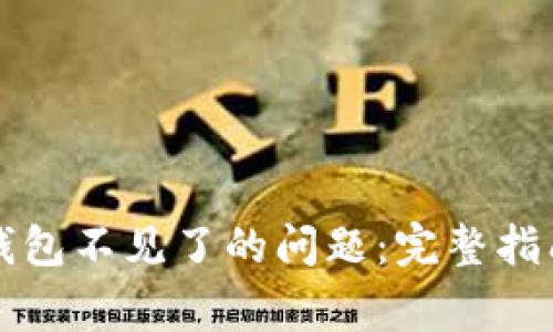 解决虚拟币导入钱包不见了的问题：完整指南与常见解决方案