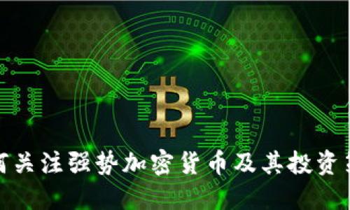 如何关注强势加密货币及其投资策略