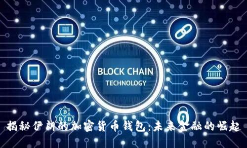 揭秘伊朗的加密货币钱包：未来金融的崛起