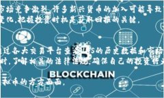   VNS虚拟币深度解析：投资、机制与未来趋势 /