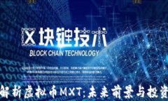 深度解析虚拟币MXT：未来前景与投资价值