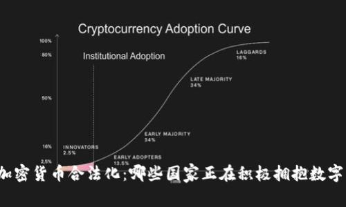 全球加密货币合法化：哪些国家正在积极拥抱数字货币？