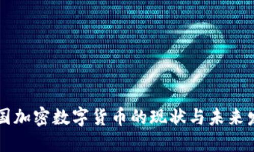 美国加密数字货币的现状与未来发展