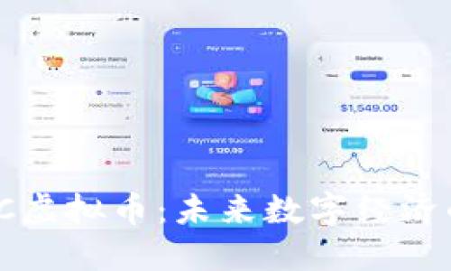 SWFTC虚拟币：未来数字经济的新星